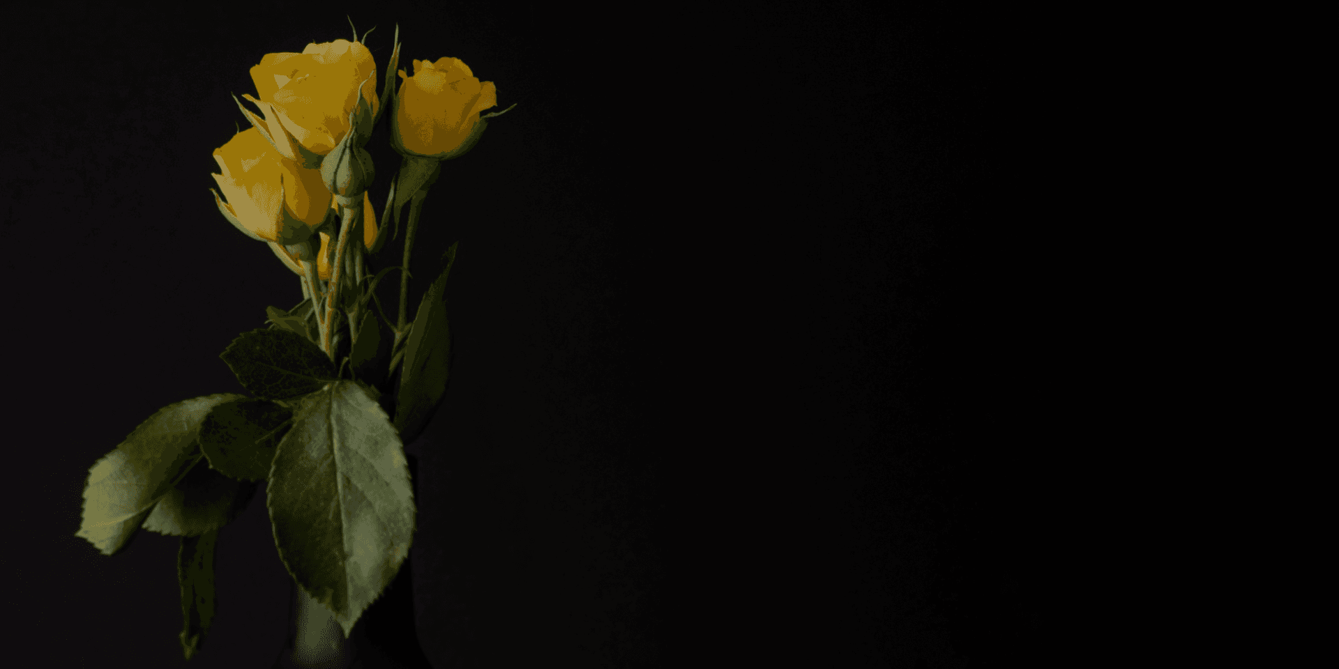 Shop Slide Background